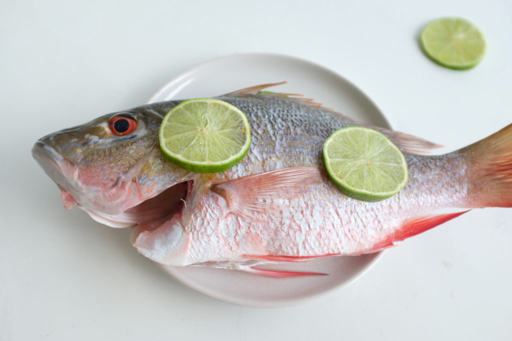 Sorbe pêchée en mer de Caraïbes